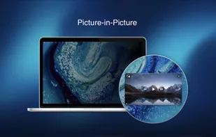 Fig Player screenshot 1