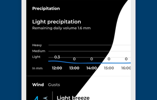Flux Weather screenshot 2