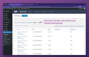 ACF Remote Sync screenshot 3