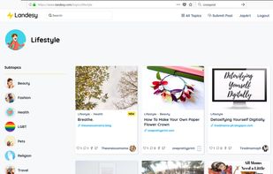 Landesy screenshot 1