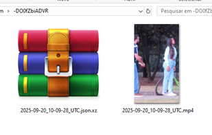 The downloaded files are: the images or videos, the post thumbnail, and some files containing post information