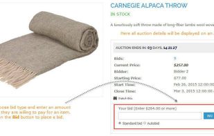 Magestore Magento Auction screenshot 1