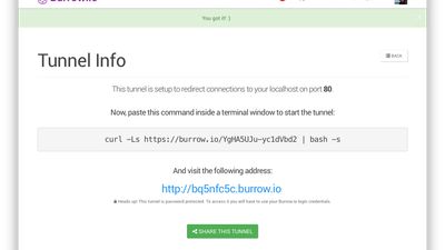 2. The next screen will confirm the tunnel is set up, and ready to go. Note the URL generated automatically for you. You will use this URL to access your localhost through the tunnel.