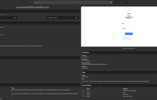 Analysis of a website