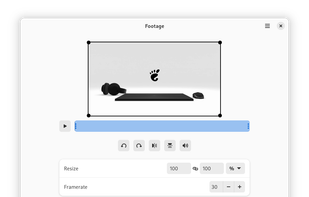 Footage screenshot 1