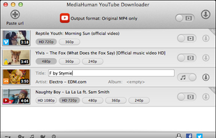 MediaHuman YouTube Downloader screenshot 3