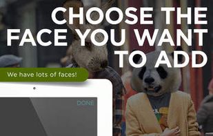 Animal Heads screenshot 2