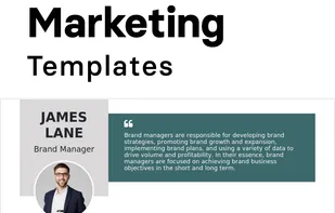 Resume Template for a Marketing Professional