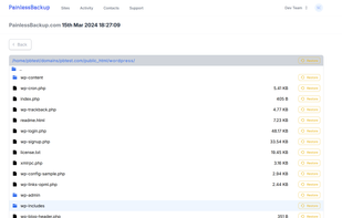 Restore files by single click