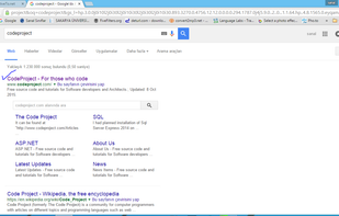 CodeProject screenshot 1