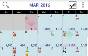 Budget Calendar on Android_view 1