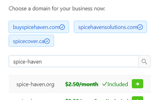 Domain selection options for the user