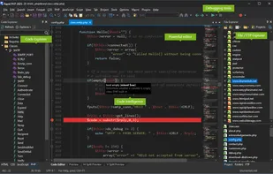 Rapid PHP screenshot 1