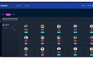 Xvoicer.io screenshot 2