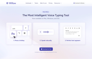 Willow Voice screenshot 2