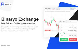 Binaryx screenshot 1