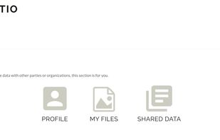Raytio screenshot 2