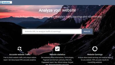 Bullmask analyze home page