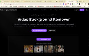 AI Video Background Remover screenshot 1