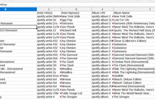 CSV File Generated by the App