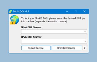 DNS Lock screenshot 1