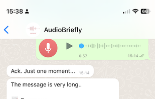 AudioBriefly screenshot 1