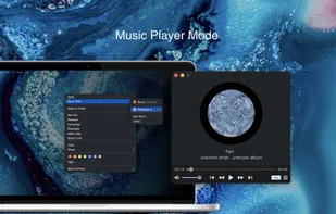 Fig Player screenshot 3