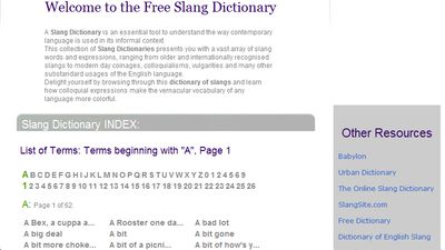 ALTERNATIVE DICTIONARY visual data 6