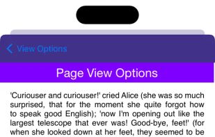 A FB2 Reader screenshot 2