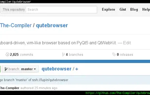 qutebrowser screenshot 1