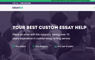 Essayag.org screenshot 1
