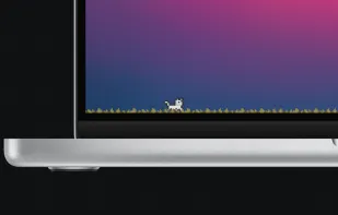 CozyPet screenshot 1