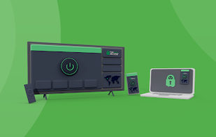 Private Internet Access screenshot 1