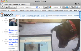 Thumbnail Zoom Plus screenshot 1