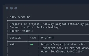 DDEV describe command