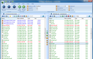 FTP Voyager screenshot 3