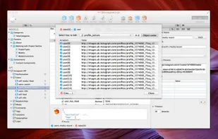 Cocoa JSON Editor screenshot 2