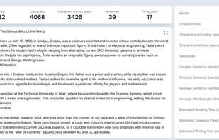 General and detailed statistics in the writing view