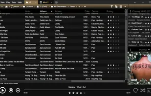 MediaMonkey screenshot 1