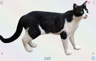 Play&learn screenshot 1