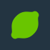Lime Launcher icon