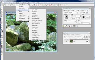 Main working window