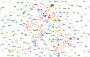 Network visualization generated by Tabnetviz.