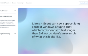 Meta Llama screenshot 2