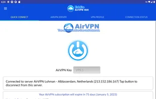 AirVPN screenshot 2