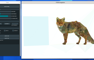 Generated triangulation view