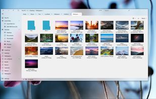 S Files Pro X screenshot 1