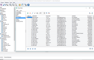 Before generating data to the database you can generate a preview of the data that will be generated. You can also manipulate these data by using the query tool.