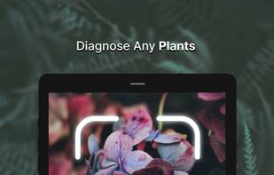 Plant Doctor : Disease Diagnosis screenshot 1