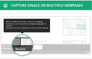 Capture single or multiple webpages